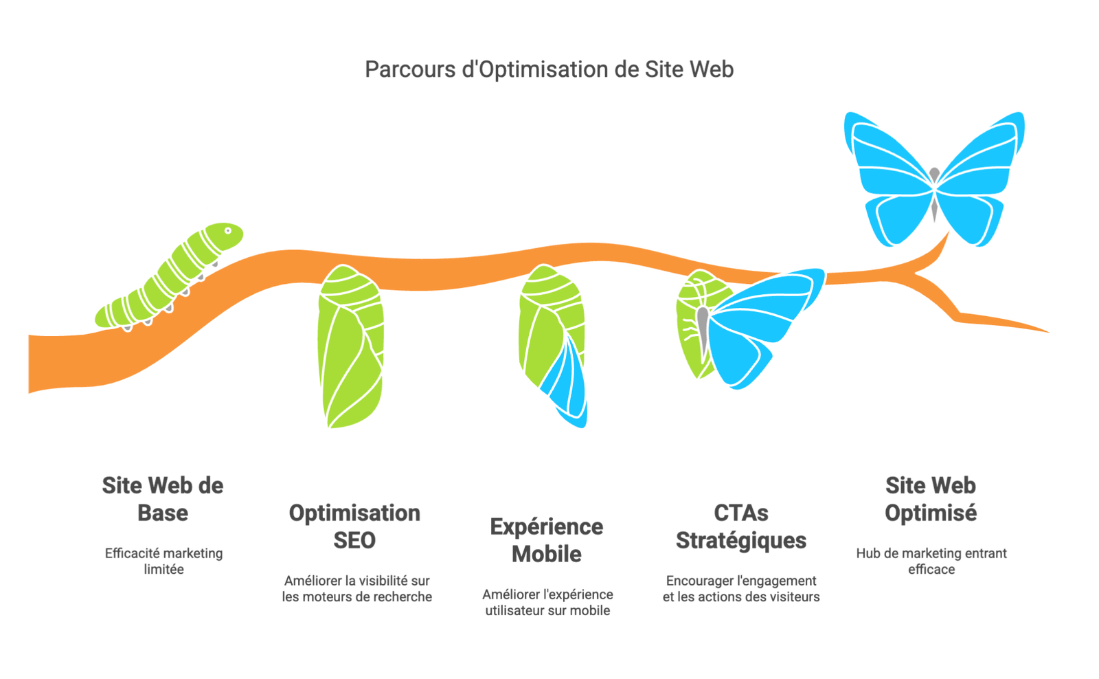 Modele de Collaboration en Marketing Digital visual selection 9